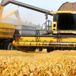 Interagroaliment: Insolvența unui Gigant în Agricultura Românească și Implicațiile Sale pentru Grupul Șerban Holding