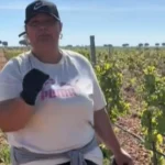 Criza forței de muncă în agricultura spaniolă: O româncă oferă 12,50 euro pe oră pentru muncă la vie